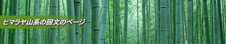 �^�C�g���摜